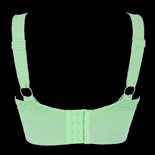 Amanda Basic Bra Big Cup - Forest Shade