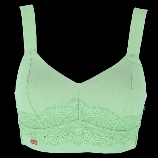 Amanda Basic Bra Big Cup - Forest Shade